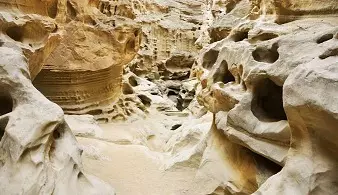 تور قشم، هنگام، هرمز